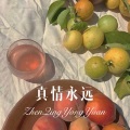 DJ蜜儿 - 真情永远 (Remix)