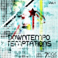 Downtempo Temptations, Vol. 1