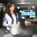 ดอกอ้อ ทุ่งทอง - เมียเก่า