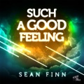 Such a Good Feeling (Original Mix)