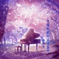 谢少华 - 妹妹找哥泪花流