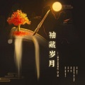 紫依_七弦剑吟 - 袖藏岁月
