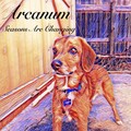 Arcanum - Stay in Your Lane