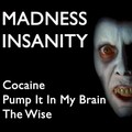 Madness Insanity - The Wise
