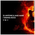 I Wanna Rock (Original Mix)