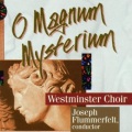 Westminster Choir、Nancianne Parrella、joseph flummerfelt - Ave Verum Corpus