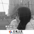 烈火战马 (DJ版)