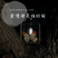词庸潮音、大辉哥、林金煌、支先生 - 当爱在靠近 (DJ版)