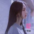 小草哥、在忠、小奶瓶 - 暴走的小女孩 (DJ版)