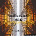 Delicate Sounds、Satori - Life Around the Sickness