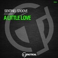 Sentinel Groove - A Little Love (OriginalMix)