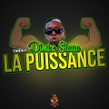 La puissance