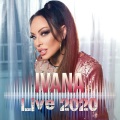 Ivana - Де се е чуло видяло (Live)