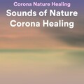 Sounds of Nature Corona Healing