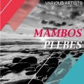 Charlie Valens - No Es Lo Mismo
