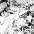 michael smith、Maria Beats、Anarchy Beats Just For You、Beat Masters - Turkmenistan Supper