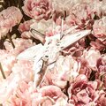 michael smith、Maria Beats、Anarchy Beats Just For You、Beat Masters - Tangerine Drama (Explicit)