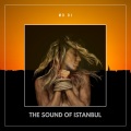 MD DJ、Daniel Mitroi - The sound of Istanbul Extended
