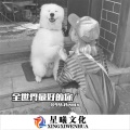 9爷 - 余生只为你 (DJ版)