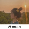 专业团队＋德莱联盟