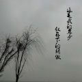 大科 - 写给你的歌