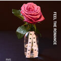 RMS - Feel the Romance