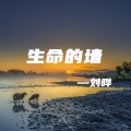 卞英花 - 生命的墙