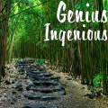 Genius - Ingenious