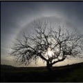 RainbowGlory、The Hobbler - The First (Explicit)