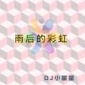DJ小星星 - 棒棒棒摇