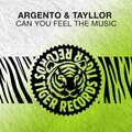 Can You Feel the Music