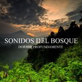 Dormir Profundamente: Sonidos del Bosque