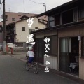 南冥、江小念 - 梦 遥