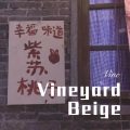 韦康 - 谁能懂这撕心裂肺的痛 (Remix)