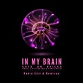 CATS ON BRICKS、Christelle Constantin - In My Brain (BigroomRemix)