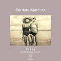 Tilia - Cordata Meteora (PunksTapes Remix)