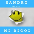 Mi rigol