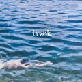 blankets - Trunk