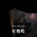 好嗨哟