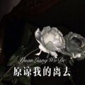 原谅我的离去