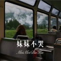 寄烧鸡 - 最近的距离最远的你 (Remix)