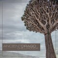 Social Fever - Automatic Postcard