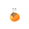 Mango Daddy - 磁场