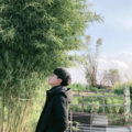 清凌 - 姑娘你才十七岁