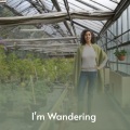 I'm Wandering