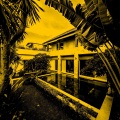 Ashley Smith、Milan Masters、Fused Lounge、Gold Mixer - Costa Rica In Ibiza