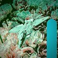 michael smith、Maria Beats、Anarchy Beats Just For You、Beat Masters - Solomon Islands Spirit