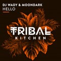 dj wady、Moondark - Hello