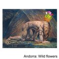 Andorra - Wild flower