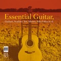 Essential Guitar
